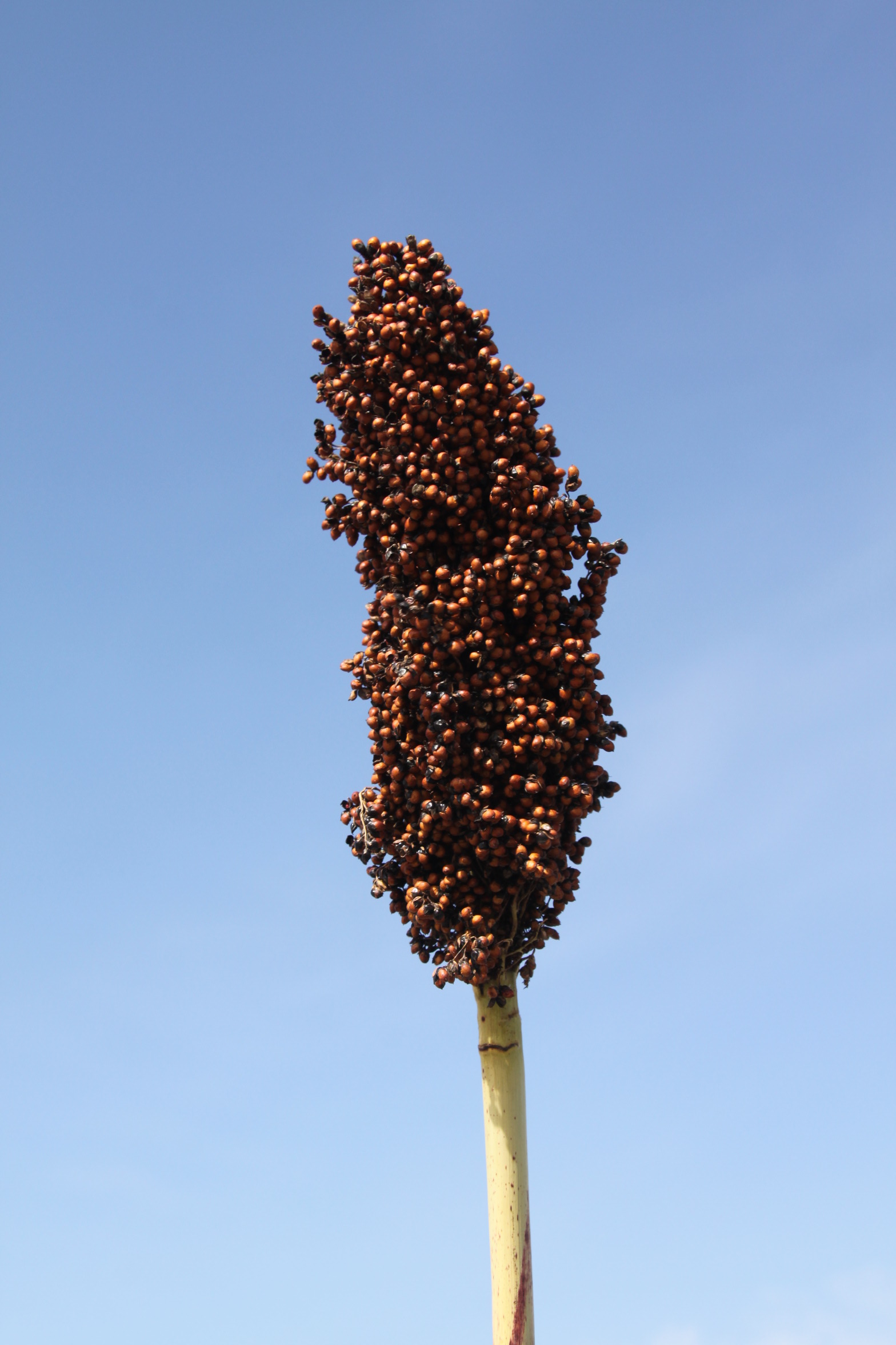 数据库中未找到相应图片