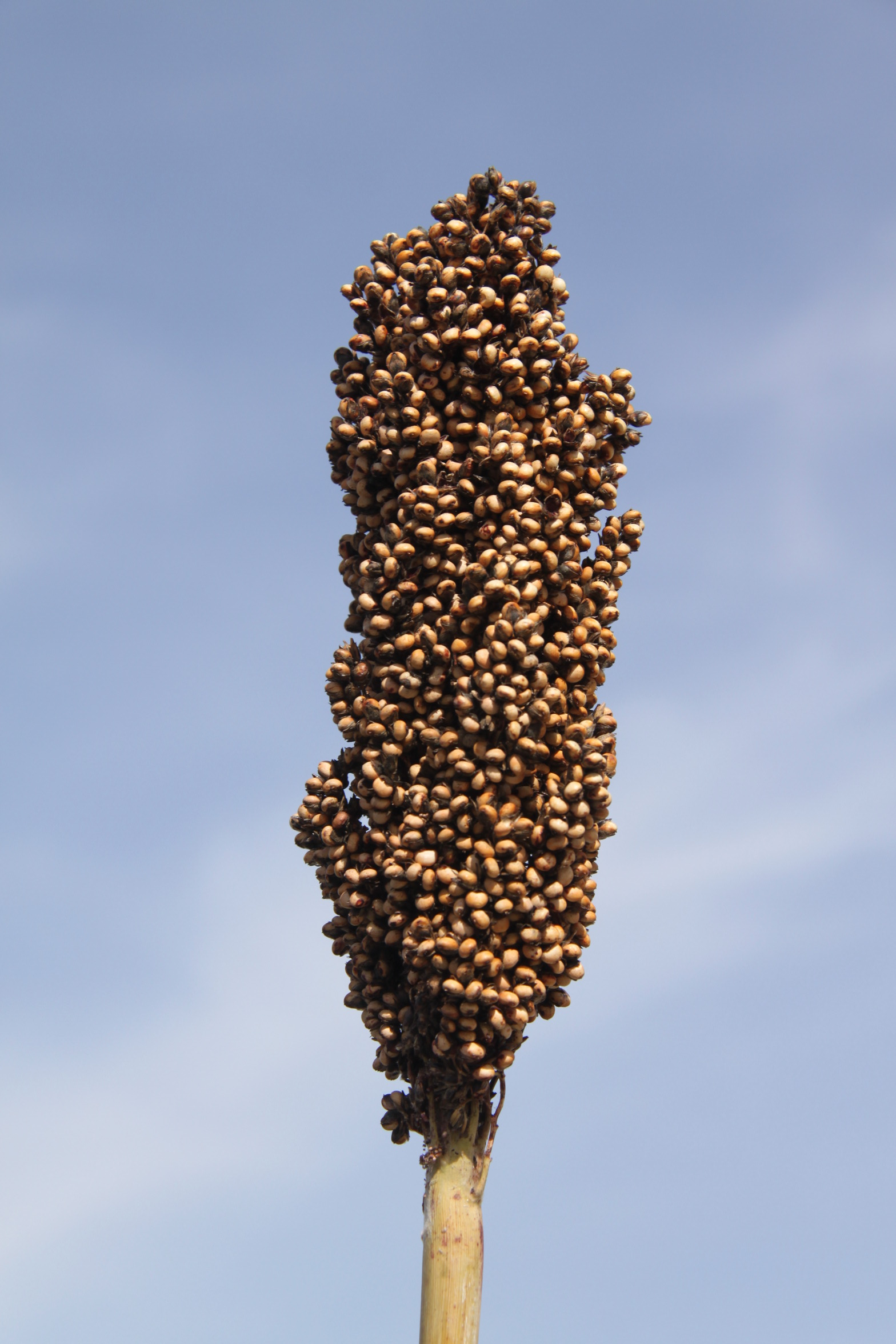 数据库中未找到相应图片