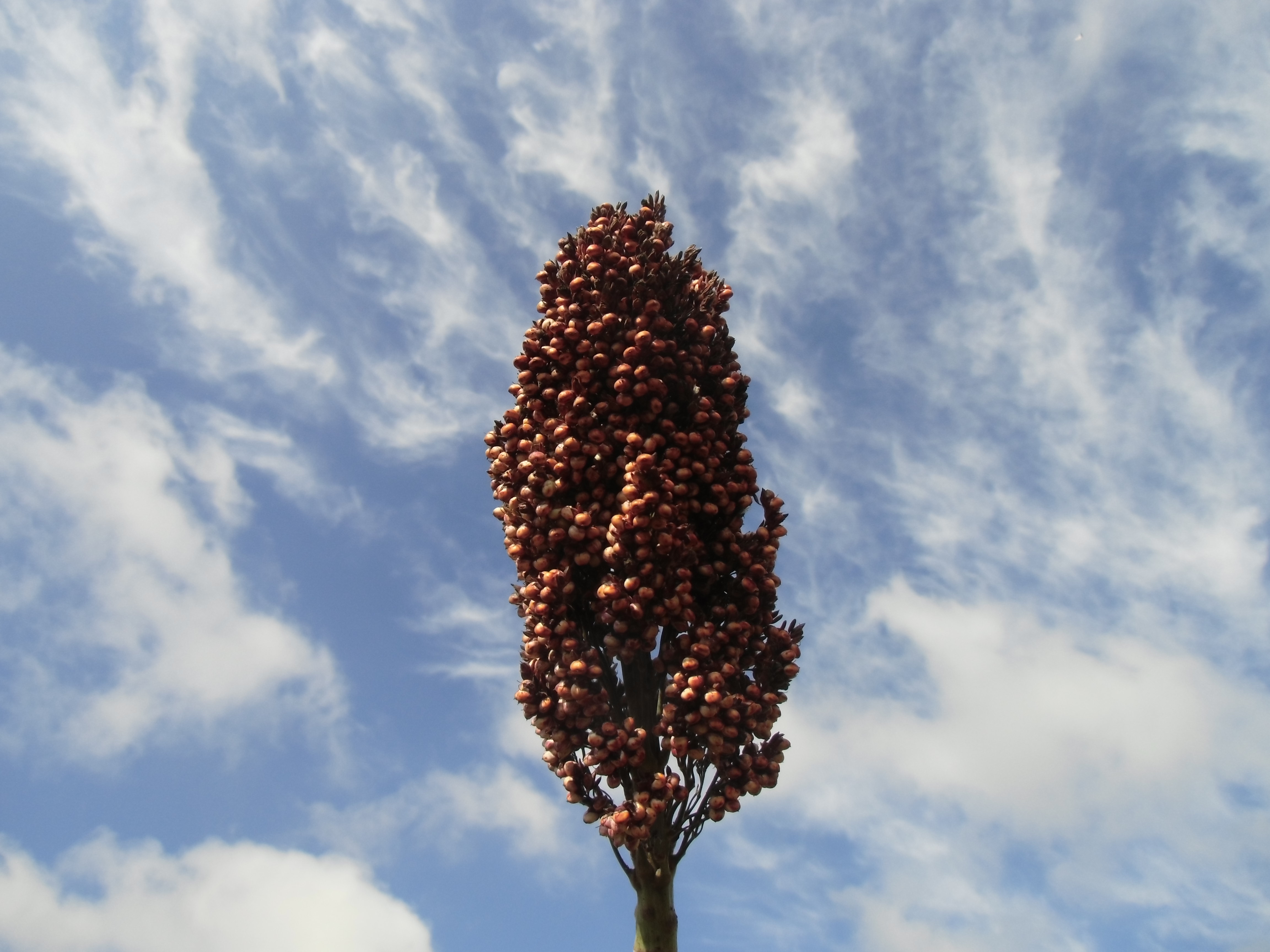 数据库中未找到相应图片