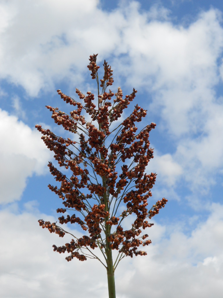 数据库中未找到相应图片