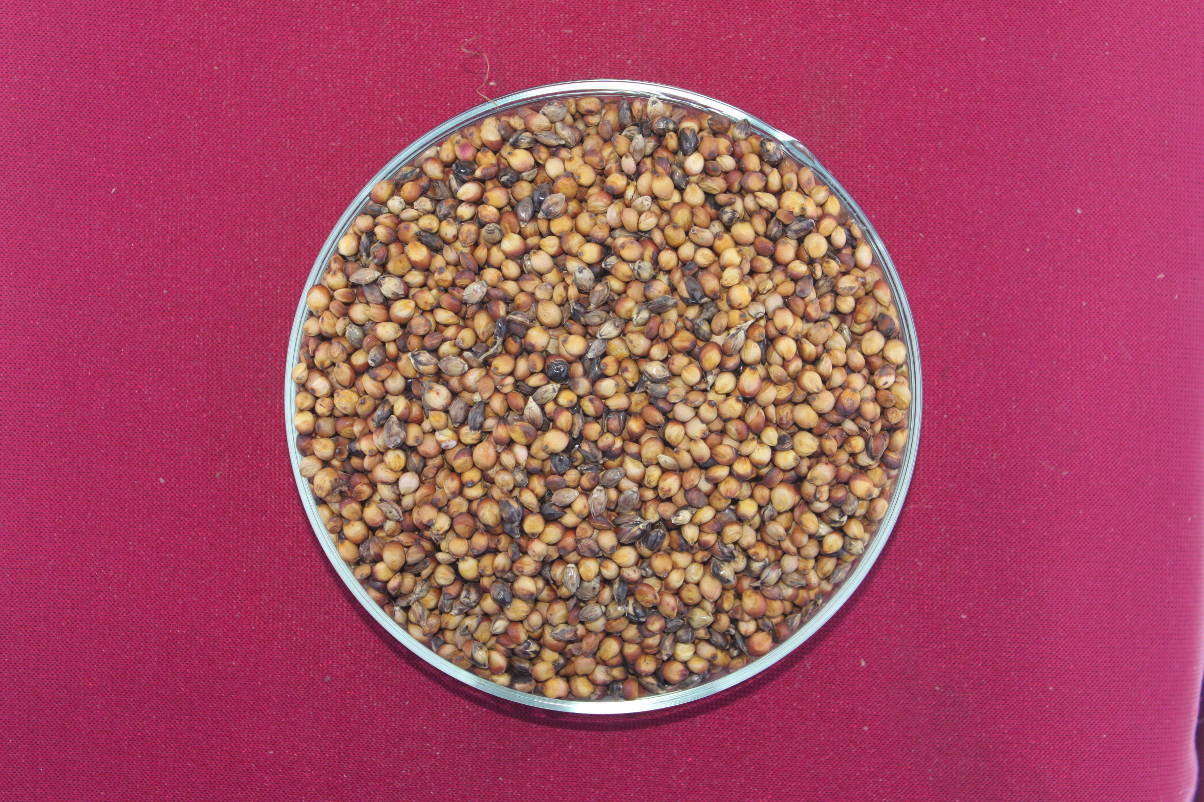 数据库中未找到相应图片