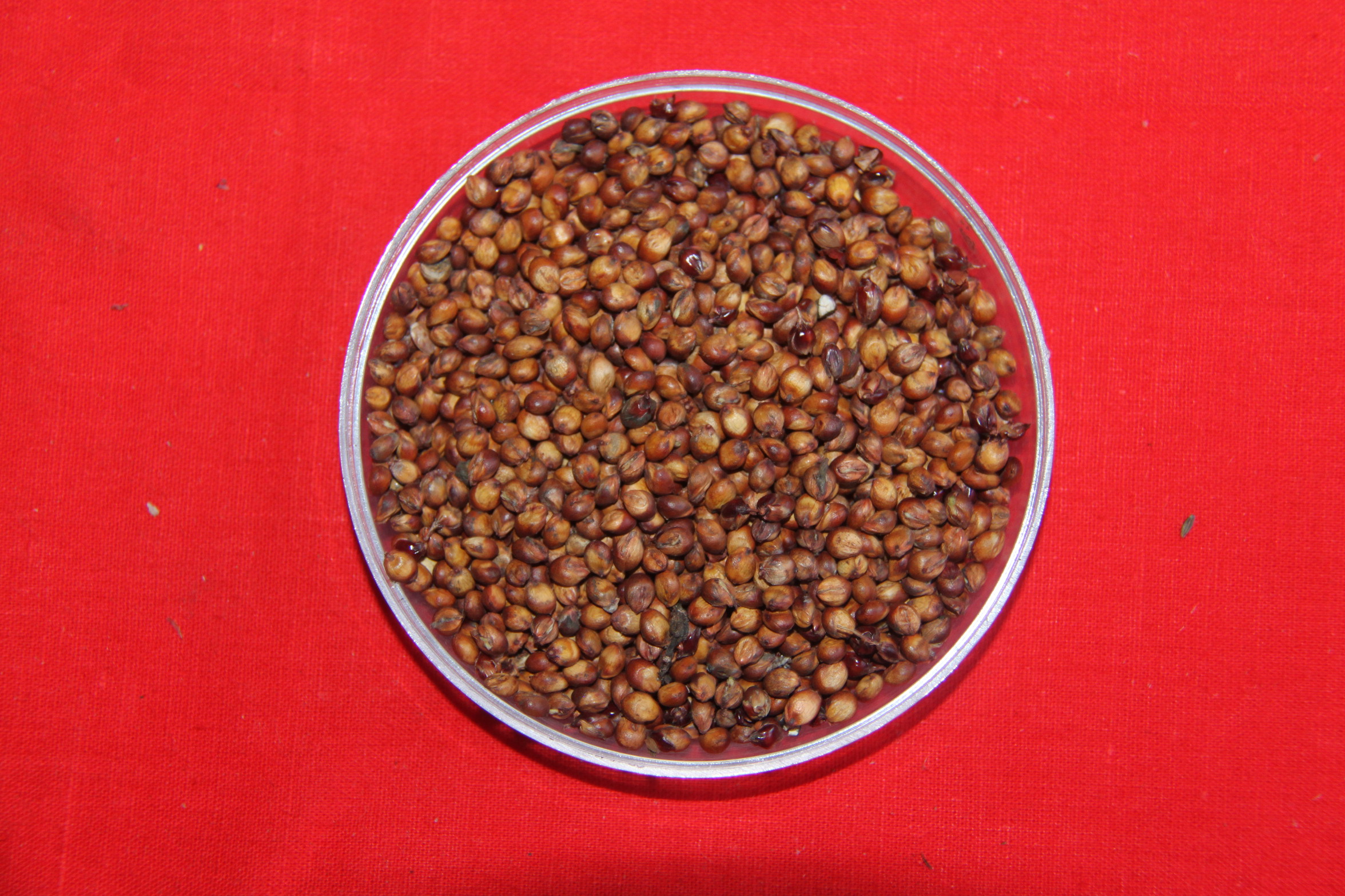 数据库中未找到相应图片