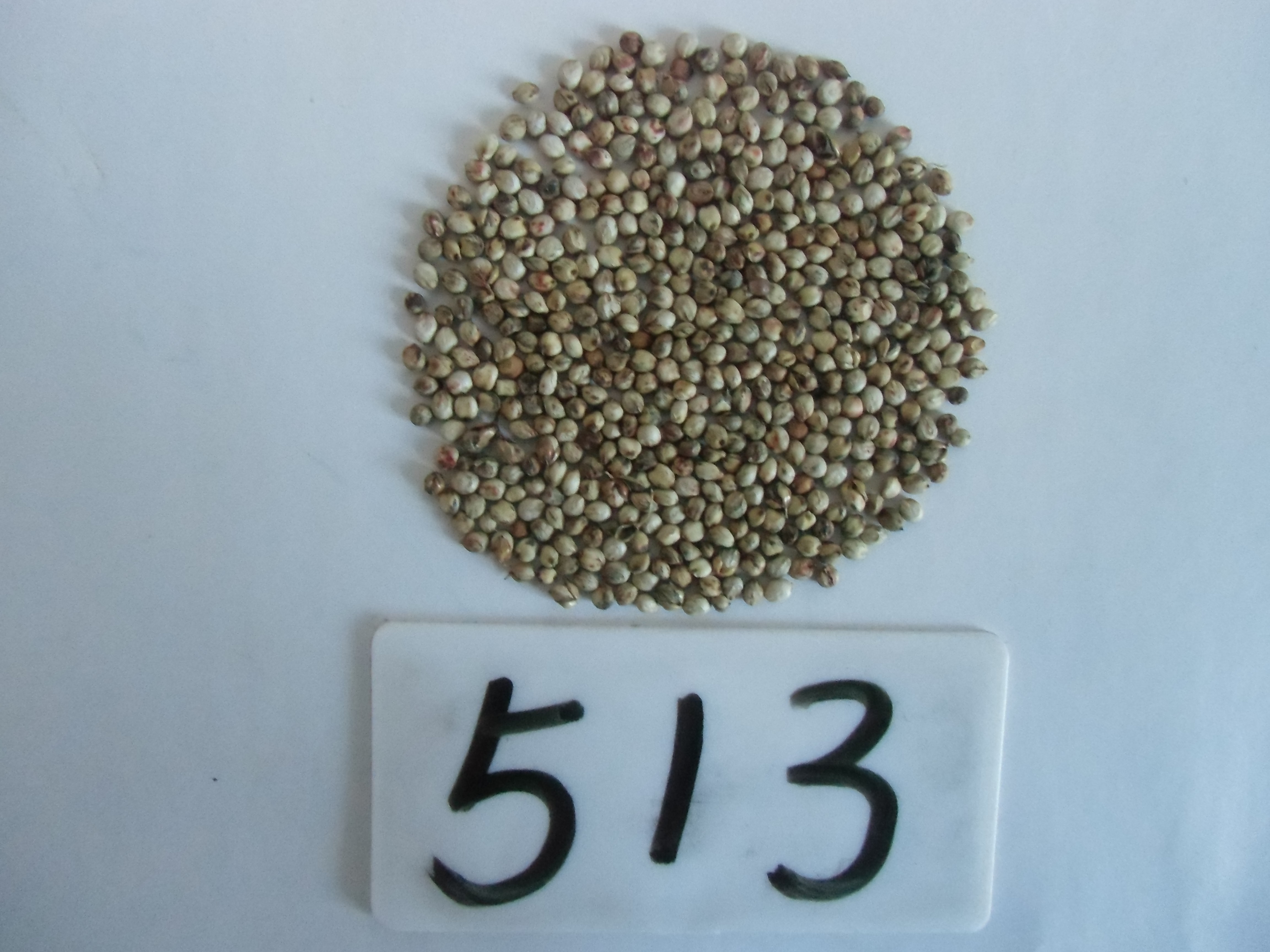 数据库中未找到相应图片