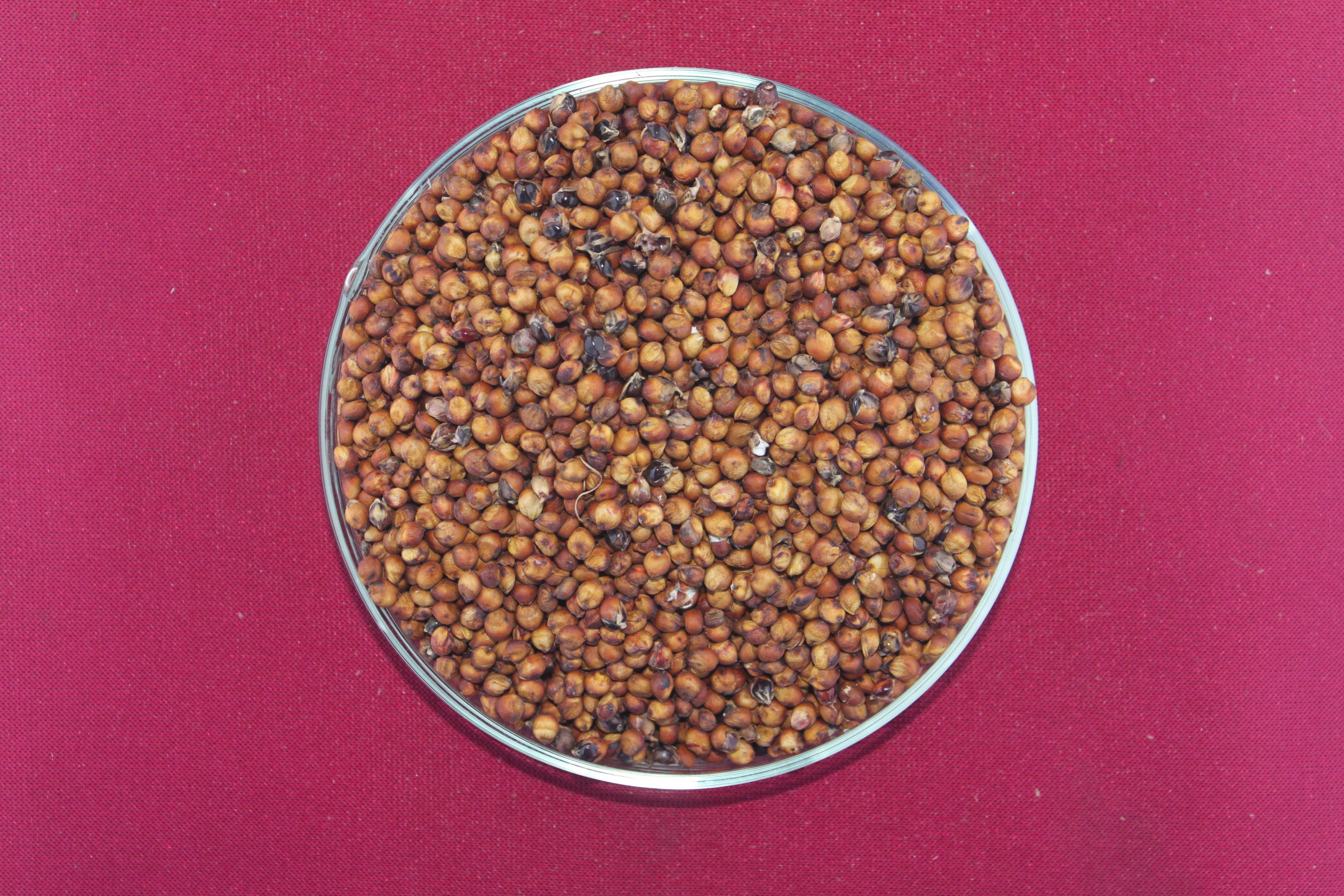 数据库中未找到相应图片