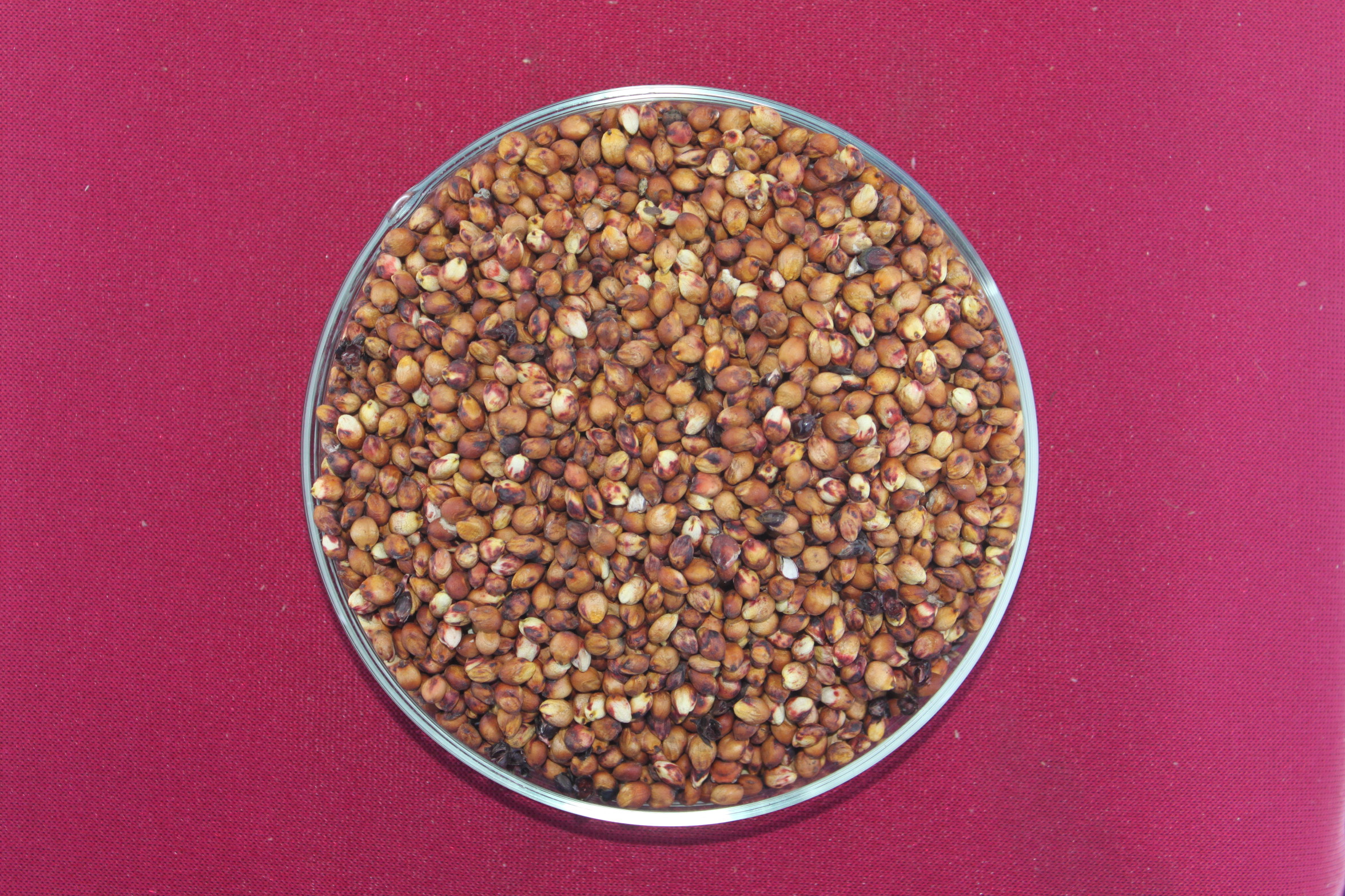 数据库中未找到相应图片